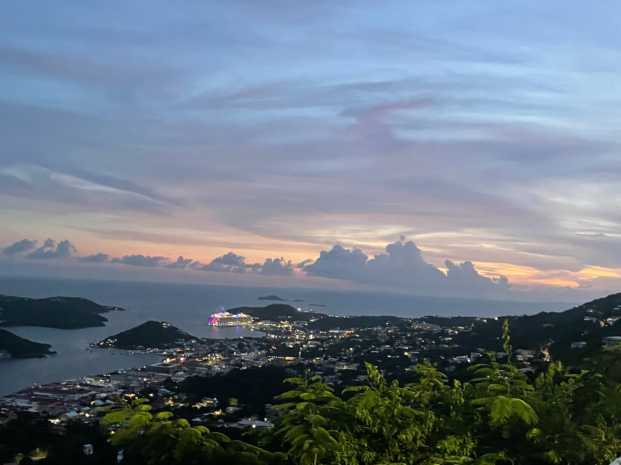 Top Dog slideshow image 1