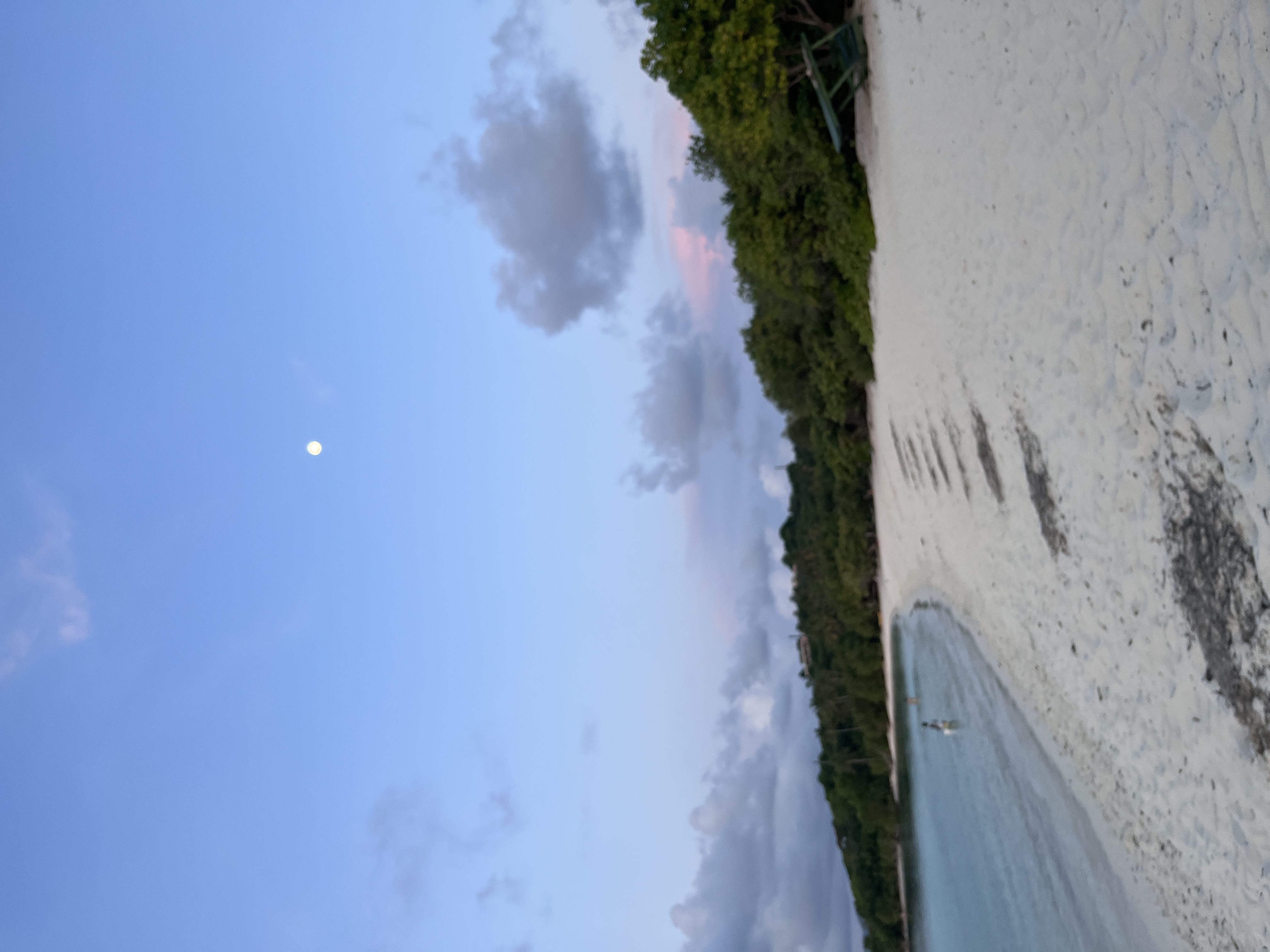 Top Dog slideshow image 3