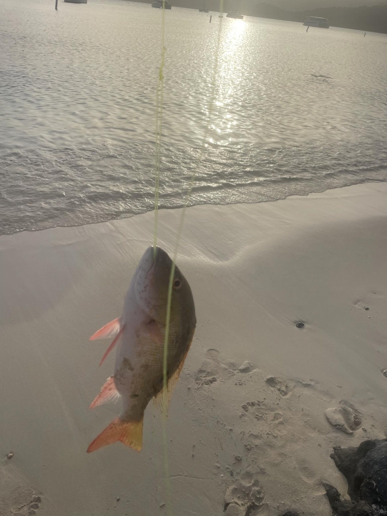Fishing photo 3