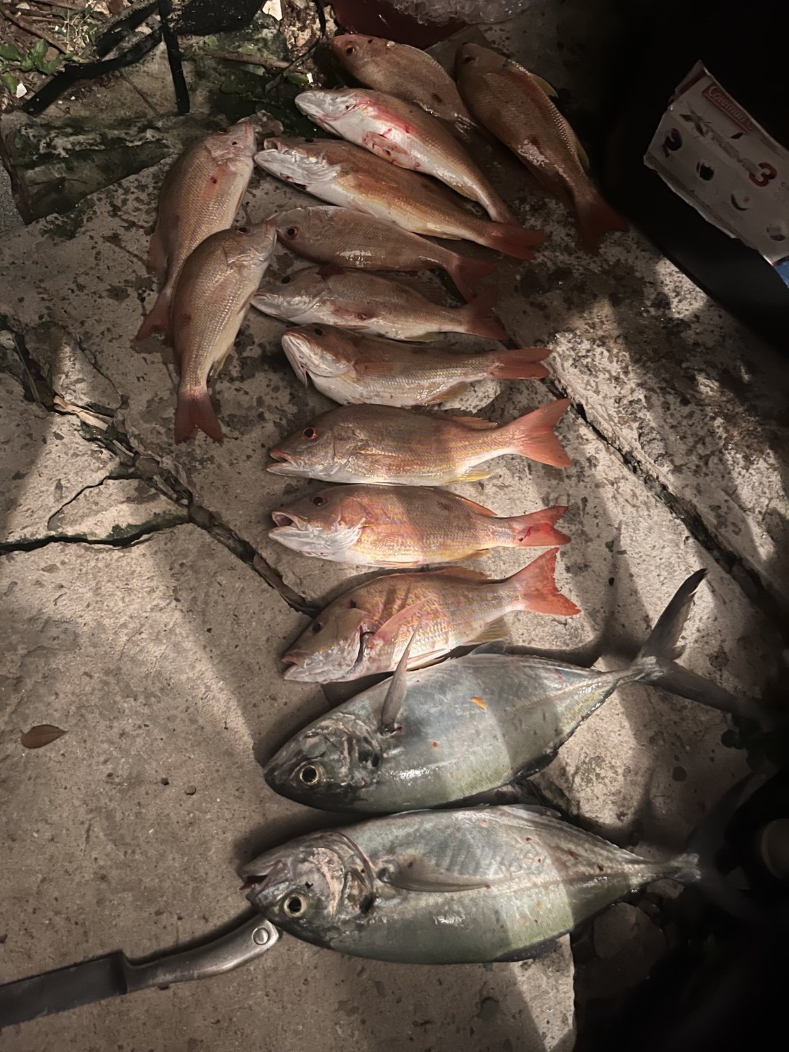 Fishing photo 4