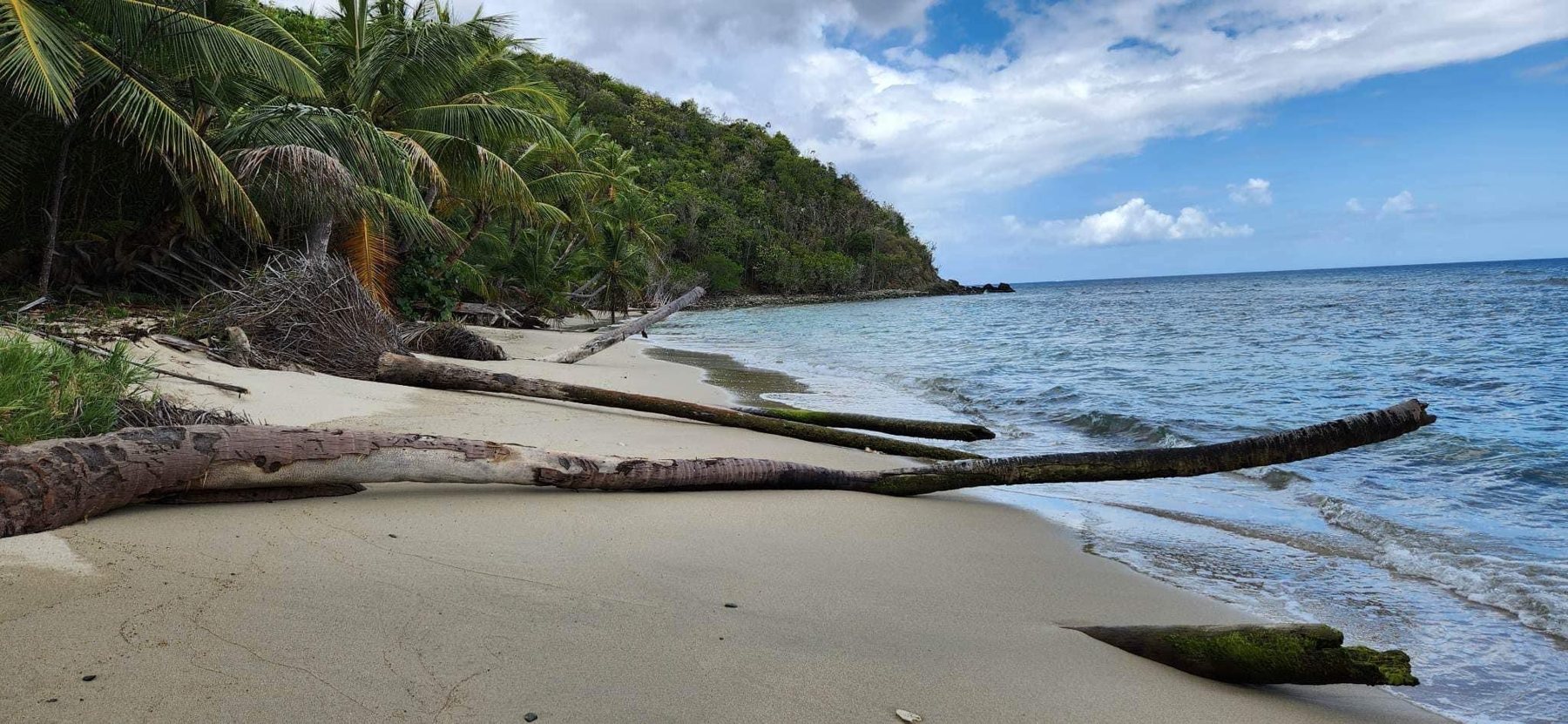 Island photo 1
