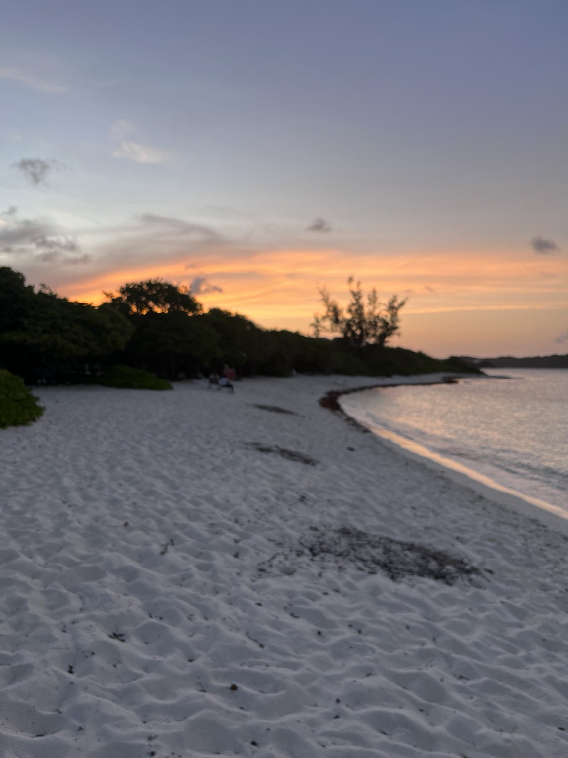 Island photo 8
